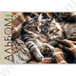 Альбом д/рисования 16л "Маленькие мурлыки" ассорти NEW | Фото 4