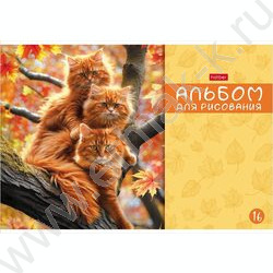 Альбом д/рисования 16л "МяУсы" ассорти NEW | Фото 2