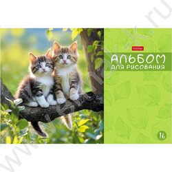 Альбом д/рисования 16л "МяУсы" ассорти NEW | Фото 3