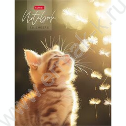 Бизнес-блокнот  80л А5 5-цв.блок "Солнечный котик" NEW | Фото 1