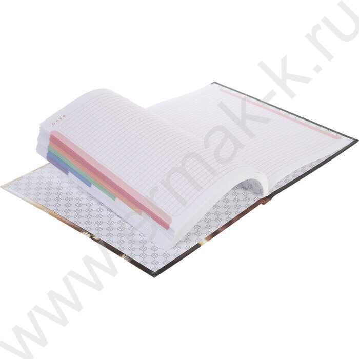 Бизнес-блокнот  80л А5 5-цв.блок "Солнечный котик" NEW | Фото 2