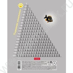 Тетрадь  18л клетка "Пушистый философ" 5видов NEW | Фото 7