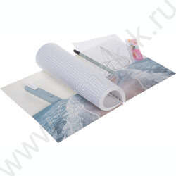 Тетрадь  96л клетка/спираль/перфорация на отрыв "Aqualife" /с карманом NEW | Фото 2