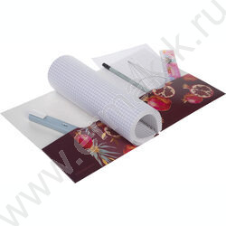 Тетрадь  96л клетка/спираль/перфорация на отрыв "Golden fruits_garnet" /с карманом NEW | Фото 2