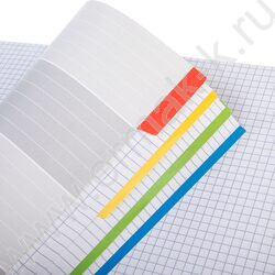 Тетрадь 120л клетка/спираль /4 цв. разделителя, перфорация на отрыв/тв.обл.Soft-touch "Красота и NEW | Фото 4