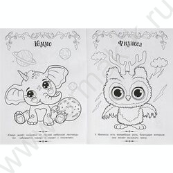 Раскраска А4 Волшебная раскраска.Чудесный лес NEW | Фото 4