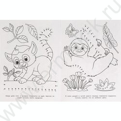 Раскраска А4 Соедини по цифрам.Коала и её друзья NEW | Фото 4