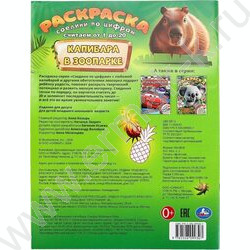 Раскраска А4 Соедини по цифрам.Капибара в зоопарке NEW | Фото 7