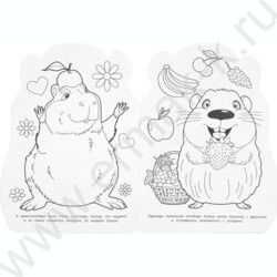 Раскраска А4 Малышка капибара NEW | Фото 3