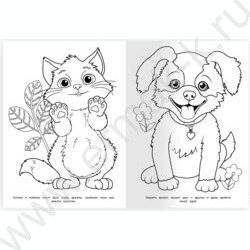 Раскраска А4 Верные друзья NEW | Фото 2
