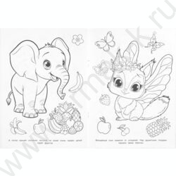 Раскраска А4 Пикник в волшебной стране NEW | Фото 4