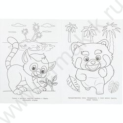 Раскраска А4 Морские приключения NEW | Фото 4