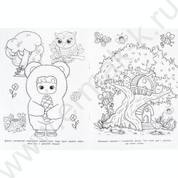 Раскраска А4 Медовая сказка NEW | Фото 4