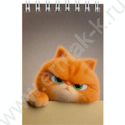 Блокнот  40л А7 спираль "Кот рыжик" /УФ-лак сплошной/ NEW | Фото 1