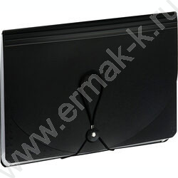 Папка на резинке д/хранения документов А4, 25 отделений /черный NEW | Фото 1