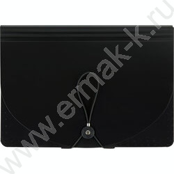 Папка на резинке д/хранения документов А4, 25 отделений /черный NEW | Фото 2