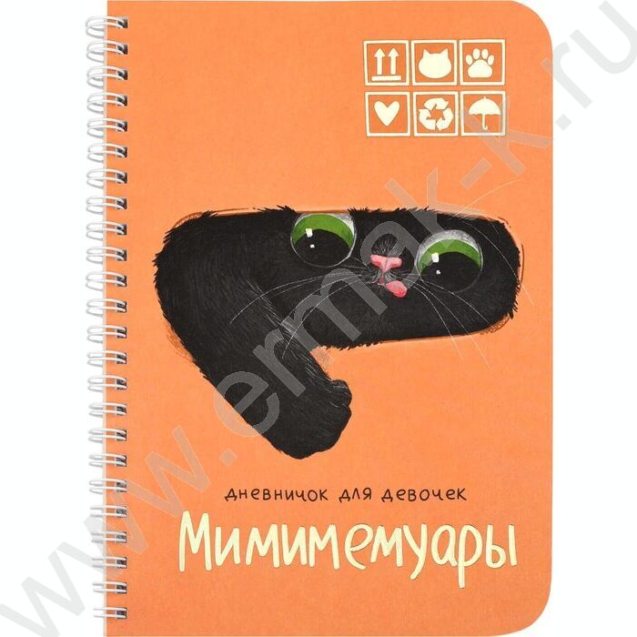 Личный дневник д/девочек А5 40л "Кот из коробки" спираль NEW | Фото 1
