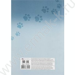 Бумага цв. двухсторонняя мелов.А4 16л/ 8цв Кот Уголёк NEW | Фото 9