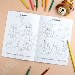 Раскраска 165*235 Породы.Собаки с наклейками NEW | Фото 5