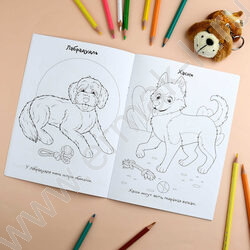 Раскраска 165*235 Породы.Собаки с наклейками NEW | Фото 6