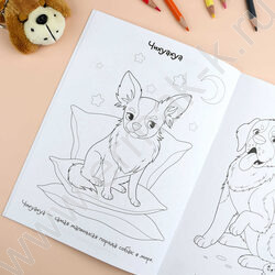 Раскраска 165*235 Породы.Собаки с наклейками NEW | Фото 8