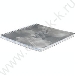 Тетрадь  80л клетка/спираль/пластик.обл. "Лепестки" NEW | Фото 2