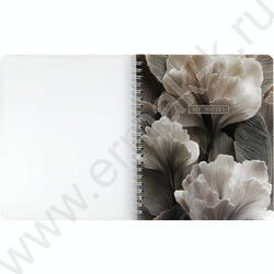 Тетрадь  80л клетка/спираль/пластик.обл. "Лепестки" NEW | Фото 3