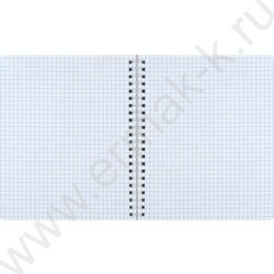 Тетрадь  80л клетка/спираль/пластик.обл. "Лепестки" NEW | Фото 5