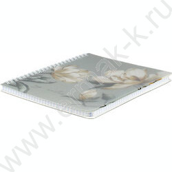 Тетрадь  80л клетка/спираль/пластик.обл. "Магнолия" NEW | Фото 2