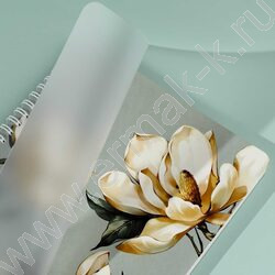 Тетрадь  80л клетка/спираль/пластик.обл. "Магнолия" NEW | Фото 8