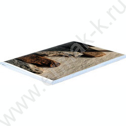 Тетрадь  80л А4 клетка/перевертыш "Прерии" NEW | Фото 4