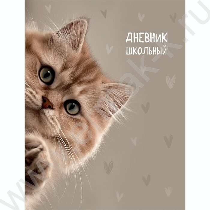 Дневник 1-11кл. "Забавный котик-4" NEW | Фото 1
