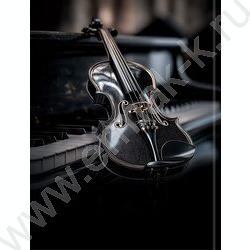 Дневник учащегося муз. школы /тв.обл. "Черная скрипка-1" /глянец/ NEW | Фото 7