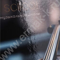 Дневник учащегося муз. школы /тв.обл. "Черная скрипка-1" /глянец/ NEW | Фото 8