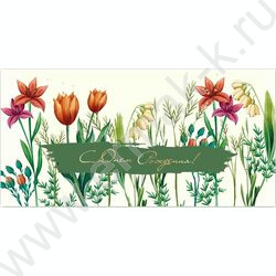 Конверт д/денег 170*82мм "С Днем Рождения!" NEW | Фото 1