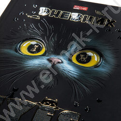 Дневник 1-11кл. /тв.обл./ламинац. Soft-touch 3D фольга 3D лак "Волшебные глаза" NEW | Фото 5