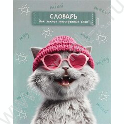 Тетрадь 48л А5+ д/записей иностранных слов "Лова-лова кот" NEW | Фото 1