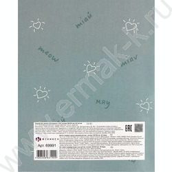 Тетрадь 48л А5+ д/записей иностранных слов "Лова-лова кот" NEW | Фото 4