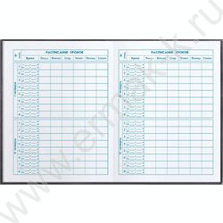 Дневник 1-4кл. /тв.обл./фольга/глянец "Кот в кепке" NEW | Фото 6