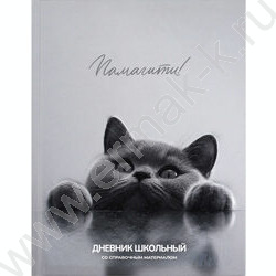 Дневник 1-11кл. /тв.обл./выб. Уф-лак/мат.лам. "Британский кот" NEW | Фото 1