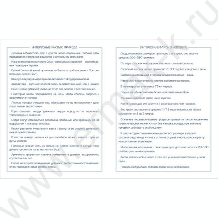 Дневник 1-11кл. /тв.обл./ламинац. Soft-touch и тиснение "Вязаный мишка" NEW | Фото 3