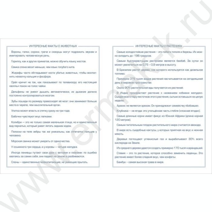 Дневник 1-11кл. /тв.обл./ламинац. Soft-touch и тиснение "Вязаный мишка" NEW | Фото 4