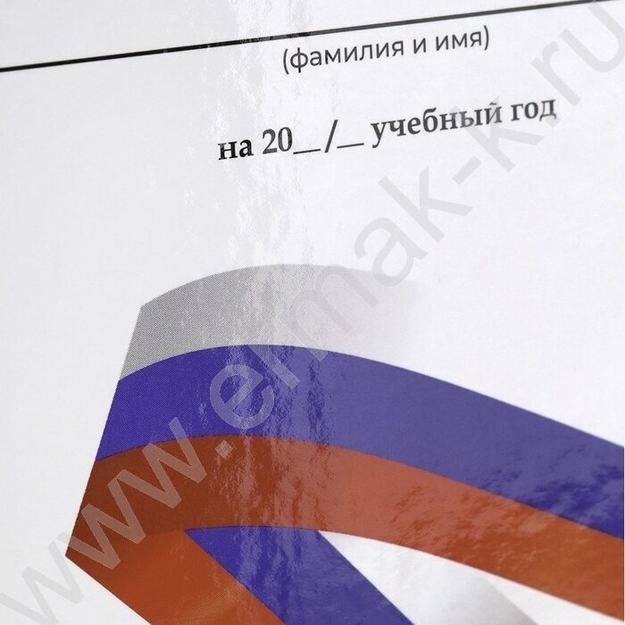 Дневник 1-11кл. /тв.обл./глянец "Белый с гербом-4" NEW | Фото 8
