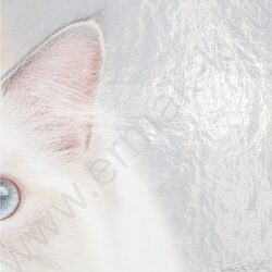 Дневник 1-11кл. /тв.обл./глянец "Белый котик-1" NEW | Фото 8