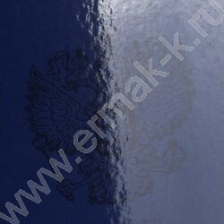 Дневник 1-11кл. /тв.обл./глянец "Герб России-15" NEW | Фото 8