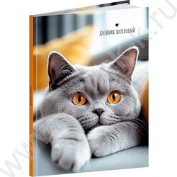 Дневник 1-11кл. /тв.обл./глянец "Серый кот-1" NEW | Фото 1