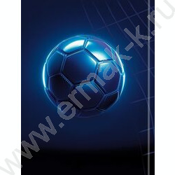 Дневник 1-11кл. /тв.обл./глянец "Футбольный мяч-23" NEW | Фото 7
