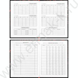 Дневник 1-11кл. /тв.обл./глянец "Футбольный мяч-24" NEW | Фото 4