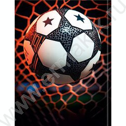 Дневник 1-11кл. /тв.обл./глянец "Футбольный мяч-24" NEW | Фото 7