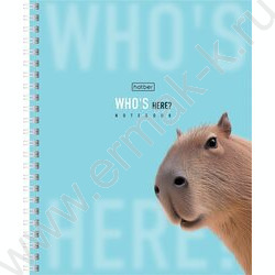 Тетрадь  48л клетка/спираль "Кто здесь?" /перфорация/ламинац.SOFT-TOUCH/4вида NEW | Фото 2